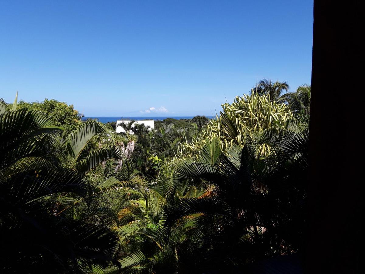 Villa Et Gites Le Safran - Le Triskell Deshaies Exteriör bild