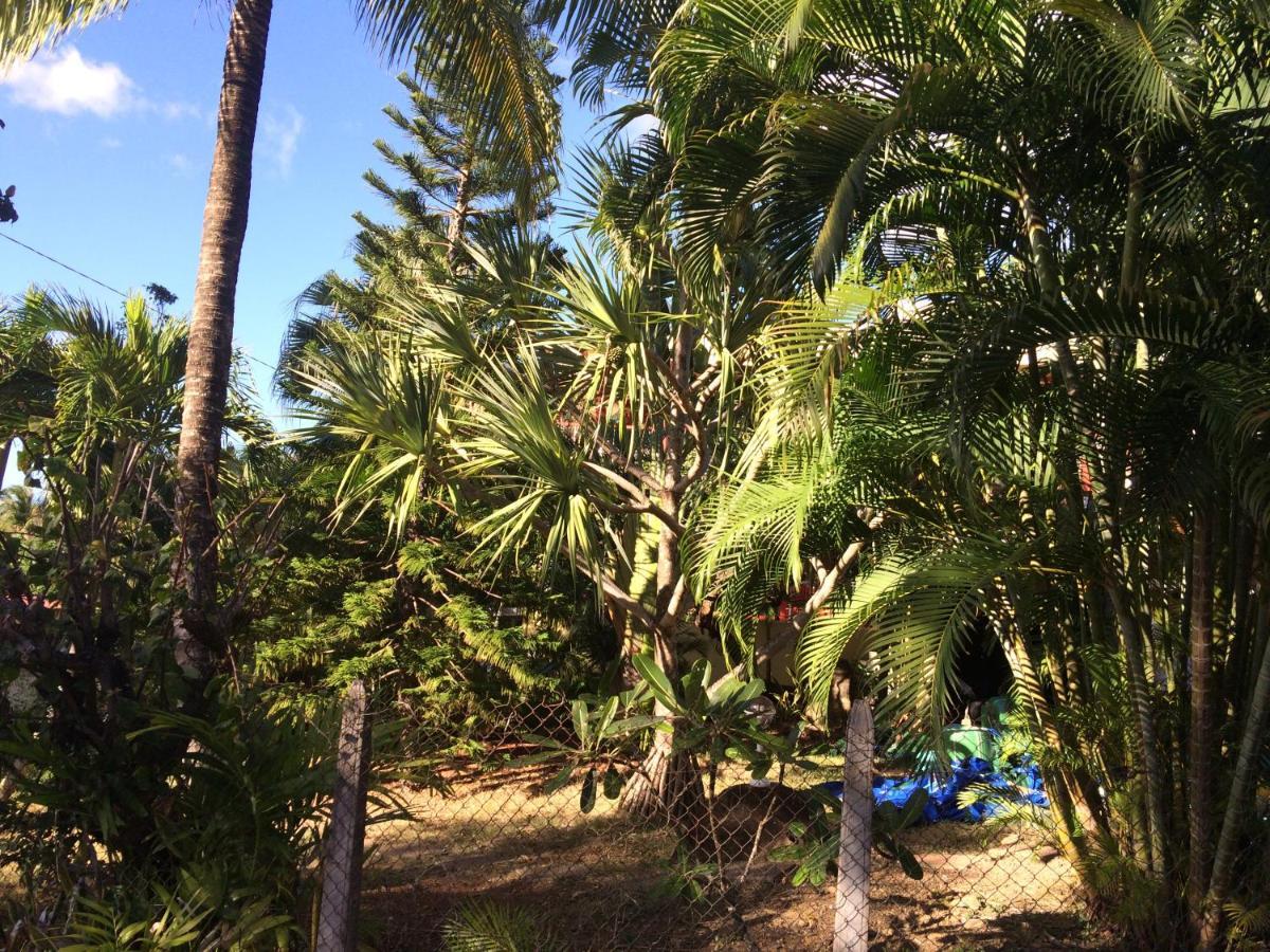 Villa Et Gites Le Safran - Le Triskell Deshaies Exteriör bild